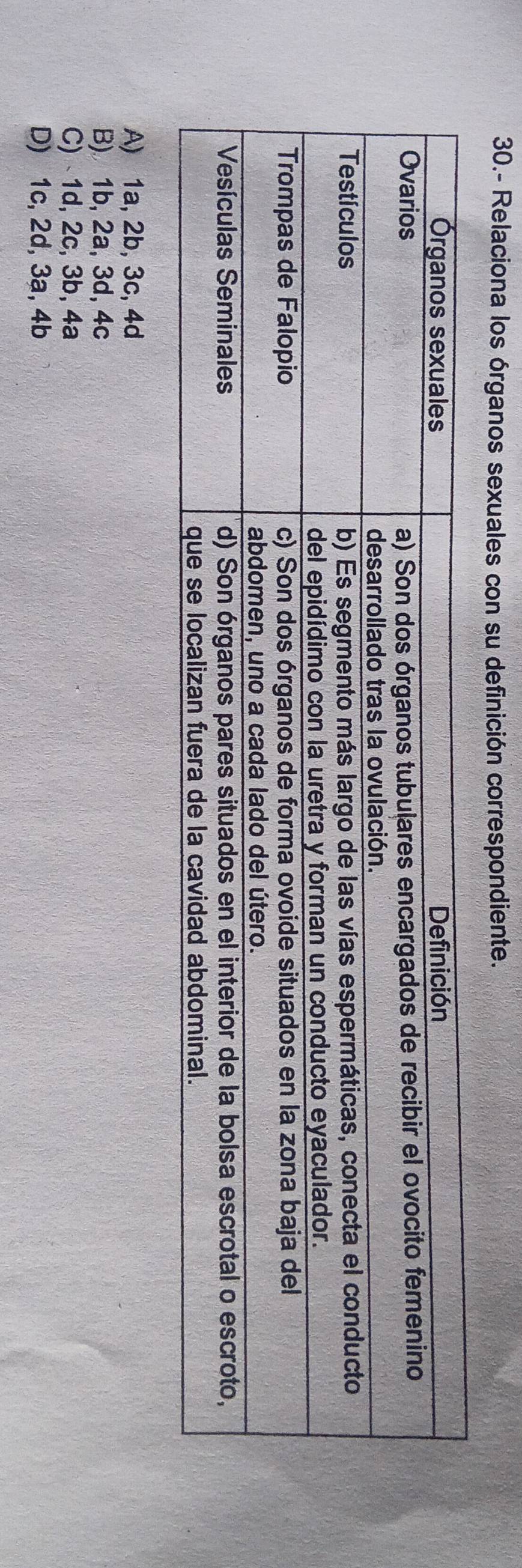 30.- Relaciona los órganos sexuales con su definición correspondiente.
A) 1a, 2b, 3c, 4d
B) 1b, 2a, 3d, 4c
C) 1d, 2c, 3b, 4a
D) 1c, 2d, 3ạ, 4b