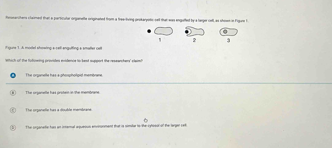 Researchers claimed that a particular organelle originated from a free-living prokaryotic cell that was engulfed by a larger cell, as shown in Figure 1.
1 2 3
Figure 1. A model showing a cell engulfing a smaller cell
Which of the following provides evidence to best support the researchers' claim?
The organelle has a phospholipid membrane.
The organelle has protein in the membrane.
The organelle has a double membrane.
The organelle has an internal aqueous environment that is similar to the cytosol of the larger cell.