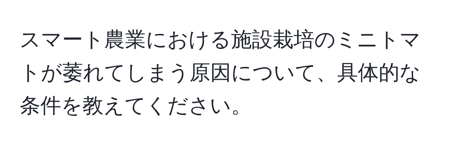 スマート農業における施設栽培のミニトマトが萎れてしまう原因について、具体的な条件を教えてください。