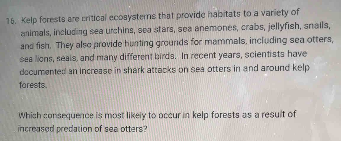 Kelp forests are critical ecosystems that provide habitats to a variety of 
animals, including sea urchins, sea stars, sea anemones, crabs, jellyfish, snails, 
and fish. They also provide hunting grounds for mammals, including sea otters, 
sea lions, seals, and many different birds. In recent years, scientists have 
documented an increase in shark attacks on sea otters in and around kelp 
forests. 
Which consequence is most likely to occur in kelp forests as a result of 
increased predation of sea otters?