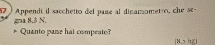 Appendi il sacchetto del pane al dinamometro, che se- 
gna 8,3 N. 
Quanto pane hai comprato?
[8.5 hg ]
