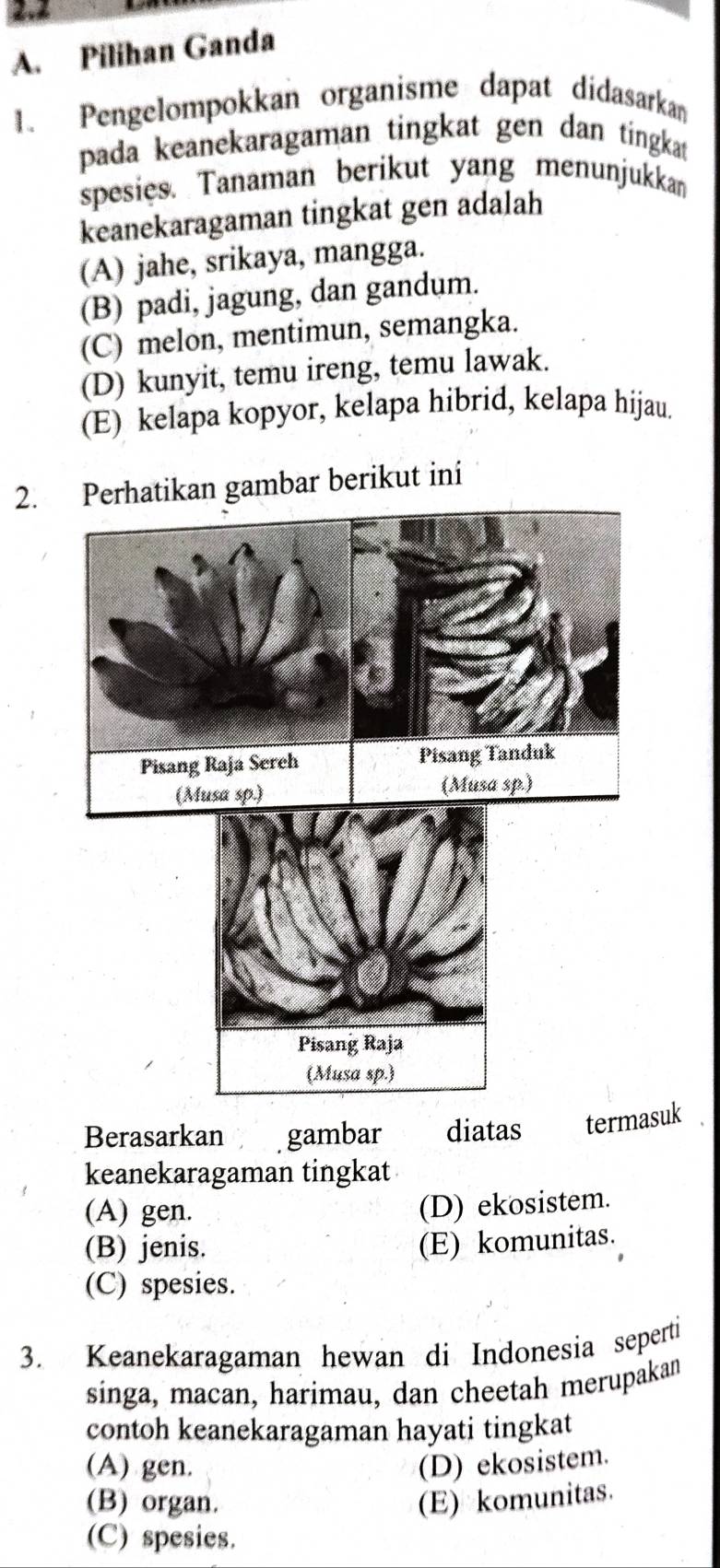 Pilihan Ganda
1. Pengelompokkan organisme dapat didasarkan
pada keanekaragaman tingkat gen dan tingkat
spesies. Tanaman berikut yang menunjukkan
keanekaragaman tingkat gen adalah
(A) jahe, srikaya, mangga.
(B) padi, jagung, dan gandum.
(C) melon, mentimun, semangka.
(D) kunyit, temu ireng, temu lawak.
(E) kelapa kopyor, kelapa hibrid, kelapa hijau.
2. Perhatikan gambar berikut ini
Berasarkan gambar diatas termasuk
keanekaragaman tingkat
(A) gen.
(D) ekosistem.
(B) jenis.
(E) komunitas.
(C) spesies.
3. Keanekaragaman hewan di Indonesia seperti
singa, macan, harimau, dan cheetah merupakan
contoh keanekaragaman hayati tingkat
(A) gen. (D) ekosistem.
(B) organ. (E) komunitas.
(C) spesies.