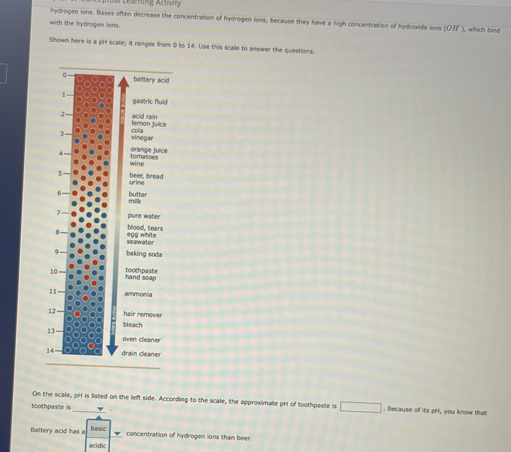 eptual Learning Activity 
hydrogen ions. Bases often decrease the concentration of hydrogen ions, because they have a high concentration of hydroxide ions (O ), which bind 
with the hydrogen ions. 
Shown here is a pH scale; it ranges from 0 to 14. Use this scale to answer the questions. 
0. 
battery acid 
1 
gastric fluid 
2 acid rain 
lemon juice 
3 
cola 
vinegar 
orange juice 
4 tomatoes 
wine 
5 beer, bread 
urine 
6 
butter 
milk 
7 
pure water 
8 
blood, tears 
egg white 
seawater 
9 baking soda 
10 toothpaste 
hand soap 
11 
ammonia 
12 
hair remover 
bleach 
13 
oven cleaner 
14 drain cleaner 
On the scale, pH is listed on the left side. According to the scale, the approximate pH of toothpaste is . Because of its pH, you know that 
toothpaste is_ . 
Battery acid has a basic 
concentration of hydrogen ions than beer. 
acidic