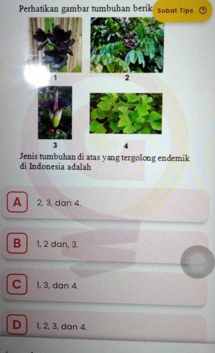 Perhatikan gambar tumbuhan berik Sobat Tips
1
2
3
4
Jenis tumbuhan di atas yang tergolong endemik
di Indonesia adalah
A 2, 3, dan 4.
B 1, 2 dan, 3.
C 1, 3, dan 4.
D 1, 2, 3, dan 4.