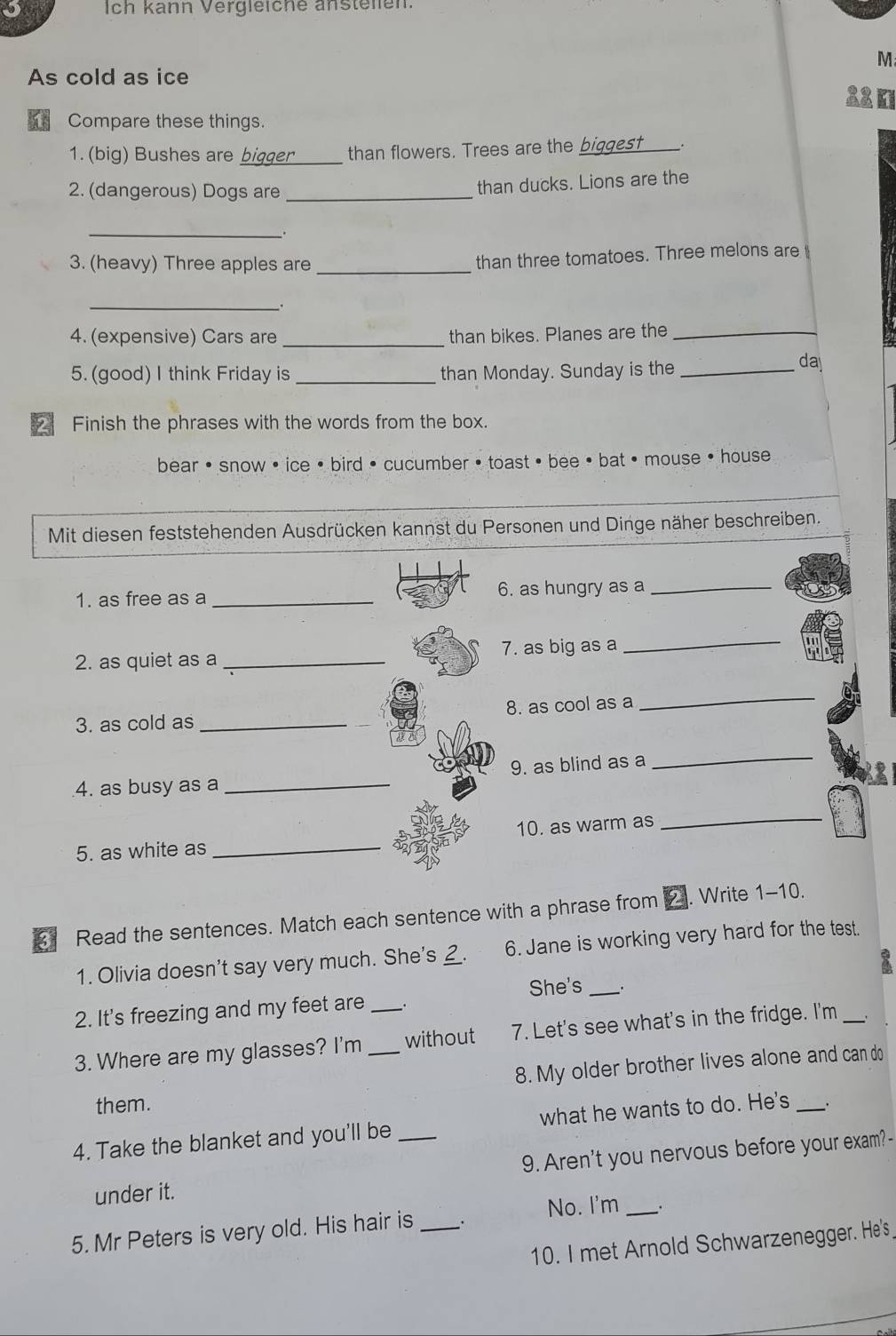 Ich kann Vergleiche anstelen. 
M 
As cold as ice 
32m 
Compare these things. 
1. (big) Bushes are bigger_ than flowers. Trees are the biggest . 
2. (dangerous) Dogs are_ 
than ducks. Lions are the 
_. 
3. (heavy) Three apples are_ 
than three tomatoes. Three melons are 
_ 
4. (expensive) Cars are _than bikes. Planes are the_ 
5. (good) I think Friday is _than Monday. Sunday is the_ 
da 
2 Finish the phrases with the words from the box. 
bear • snow • ice • bird · cucumber • toast • bee • bat · mouse · house 
Mit diesen feststehenden Ausdrücken kannst du Personen und Dinge näher beschreiben. 
1. as free as a _6. as hungry as a_ 
2. as quiet as a _7. as big as a 
_ 
3. as cold as _8. as cool as a 
_ 
4. as busy as a _9. as blind as a 
_ 
10. as warm as 
_ 
5. as white as_ 
③ Read the sentences. Match each sentence with a phrase from 2. Write 1-10. 
1. Olivia doesn't say very much. She's _. 6. Jane is working very hard for the test. 
X 
2. It's freezing and my feet are She's _. 
3. Where are my glasses? I'm __without 7. Let's see what's in the fridge. I'm_ 
8. My older brother lives alone and can do 
them. 
4. Take the blanket and you'll be _what he wants to do. He's _、 
under it. 9. Aren't you nervous before your exam? - 
5. Mr Peters is very old. His hair is _. No. I'm _. 
10. I met Arnold Schwarzenegger. He's