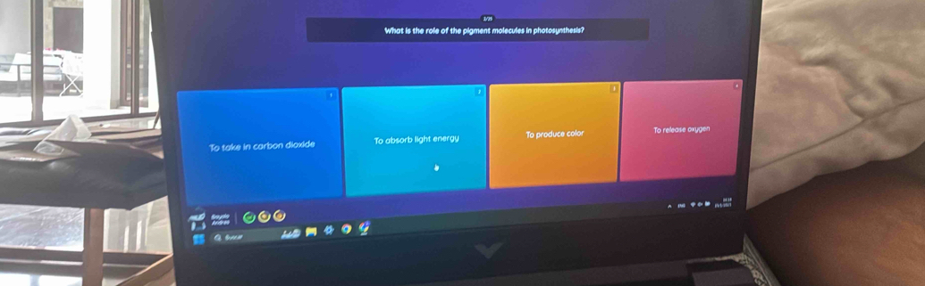 What is the role of the pigment molecules in photosynthesis?
To take in carbon dioxide To absorb light energy To produce color To release oxygen