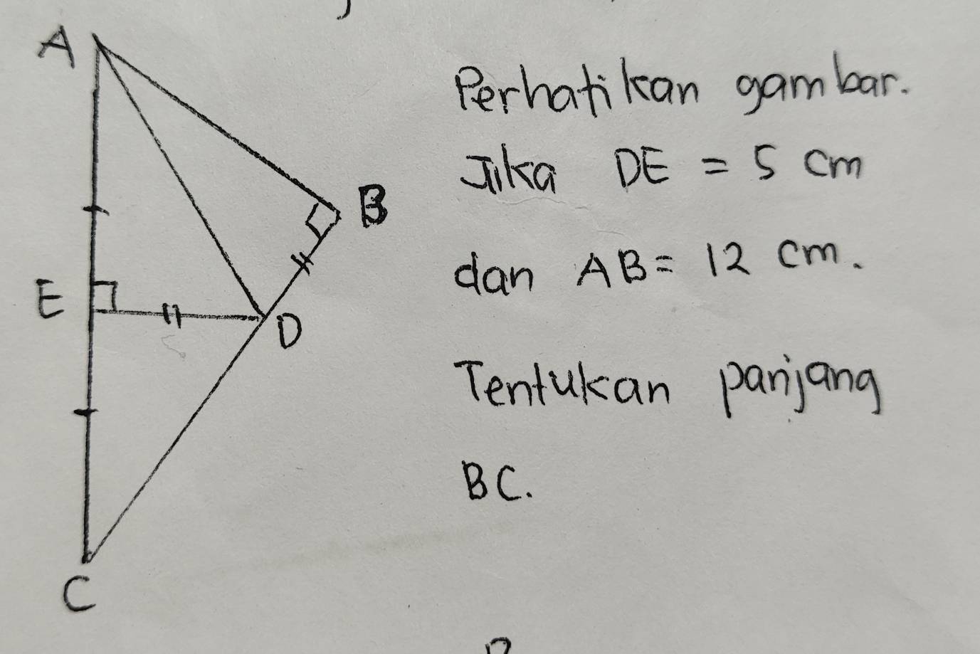 Perhatikan gambar. 
Jika DE=5cm
dan AB=12cm
Tentukan panjang
BC.