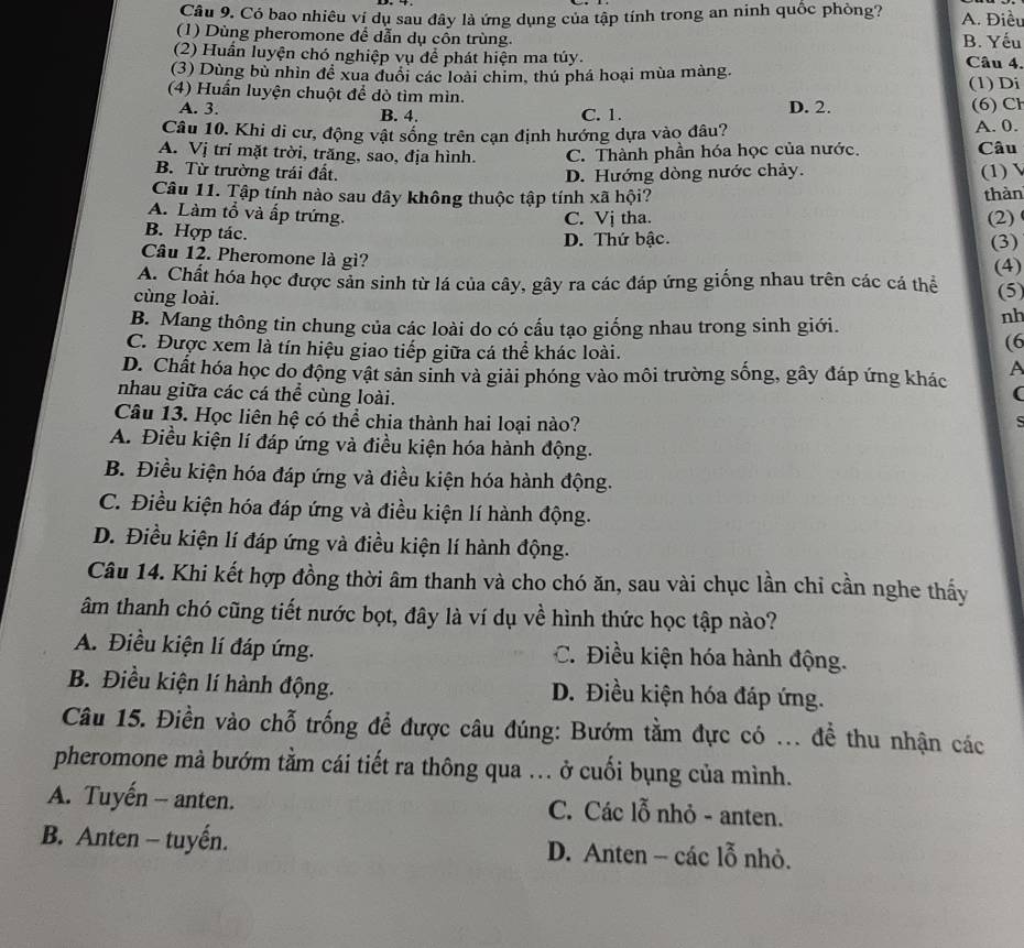 Có bao nhiêu vị dụ sau đây là ứng dụng của tập tính trong an ninh quốc phòng? A. Điều
(1) Dùng pheromone để dẫn dụ côn trùng. B. Yếu
(2) Huần luyện chó nghiệp vụ để phát hiện ma túy. Câu 4.
(3) Dùng bù nhìn đề xua đuổi các loài chim, thú phá hoại mùa màng.
(4) Huấn luyện chuột để dò tìm mìn. (1) Di
A. 3. B. 4. C. 1. D. 2. (6) CH
Câu 10. Khi di cư, động vật sống trên cạn định hướng dựa vào đâu? A. 0.
A. Vị trí mặt trời, trăng, sao, địa hình. C. Thành phần hóa học của nước. Câu
B. Từ trường trái đất. D. Hướng dòng nước chảy. (1) √
Câu 11. Tập tính nào sau đây không thuộc tập tính xã hội? thàn
A. Làm tổ và ấp trứng.
C. Vị tha. (2)
B. Hợp tác.
D. Thứ bậc. (3)
Câu 12. Pheromone là gì?
(4)
A. Chất hóa học được sản sinh từ lá của cây, gây ra các đáp ứng giống nhau trên các cá thể (5)
cùng loài.
B. Mang thông tin chung của các loài do có cấu tạo giống nhau trong sinh giới.
nh
C. Được xem là tín hiệu giao tiếp giữa cá thể khác loài.
(6
A
D. Chất hóa học do động vật sản sinh và giải phóng vào môi trường sống, gây đáp ứng khác (
nhau giữa các cá thể cùng loài.
Câu 13. Học liên hệ có thể chia thành hai loại nào?
A. Điều kiện lí đáp ứng và điều kiện hóa hành động.
B. Điều kiện hóa đáp ứng và điều kiện hóa hành động.
C. Điều kiện hóa đáp ứng và điều kiện lí hành động.
D. Điều kiện lí đáp ứng và điều kiện lí hành động.
Câu 14. Khi kết hợp đồng thời âm thanh và cho chó ăn, sau vài chục lần chỉ cần nghe thấy
âm thanh chó cũng tiết nước bọt, đây là ví dụ về hình thức học tập nào?
A. Điều kiện lí đáp ứng. C. Điều kiện hóa hành động.
B. Điều kiện lí hành động. D. Điều kiện hóa đáp ứng.
Câu 15. Điền vào chỗ trống để được câu đúng: Bướm tằm đực có ... để thu nhận các
pheromone mà bướm tằm cái tiết ra thông qua ... ở cuối bụng của mình.
A. Tuyến - anten. C. Các lỗ nhỏ - anten.
B. Anten - tuyến. D. Anten - các lỗ nhỏ.