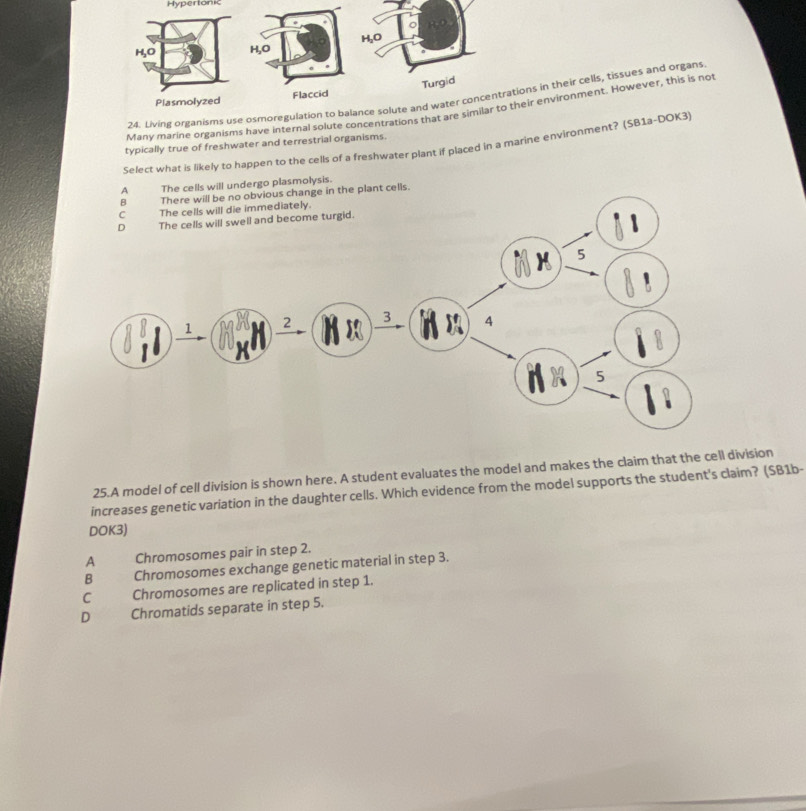 Hypertonic
H,O H₂O
Turgid
24. Living organisms use osmoregulation to balance solute and water concentrations in their cells, tissues and organs
Flaccid
Many marine organisms have internal solute concentrations that are similar to their environment. However, this is not
typically true of freshwater and terrestrial organisms.
Select what is likely to happen to the cells of a freshwater plant if placed in a marine environment? (SB1a-DOK3)
dergo plasmolysis.
25.A model of cell division is shown here. A student evaluates the model and makes the claim that the cell division
increases genetic variation in the daughter cells. Which evidence from the model supports the student's claim? (SB1b-
DOK3)
A Chromosomes pair in step 2.
B Chromosomes exchange genetic material in step 3.
C Chromosomes are replicated in step 1.
D Chromatids separate in step 5.