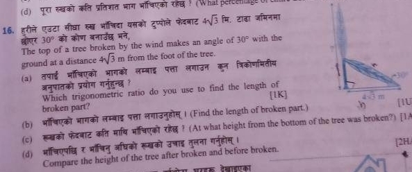 पूरा र्खको कत प्रतिशत भाग भॉचिएको रहछ ? (What percenge 
16. हुरीले एउटा सीघा रख भॉचिदा यसको टुप्पोले फेदबाट 4sqrt(3)ft. टाढा जभिनमा 
छोएर 30° को कोण बनार्उछ vector MH_1
The top of a tree broken by the wind makes an angle of 30° with the 
ground at a distance 4sqrt(3)m from the foot of the tree. 
(a) तपाई भॉचिएको भागको लम्बाइ पत्ता लगाउन कून त्रिकोणमितीय 
अनुपातको प्रयोग गनुहुन्छ ? 
Which trigonometric ratio do you use to find the length of [1K] 
broken part? 
(b) भॉचिएको भागको लम्बाइ पत्ता लगाउनुहोस् । (Find the length of broken part.) 
(c) रखको फेदबाट कत माथि मॉचिएको रहेछ ? (At what height from the bottom of the tree was broken?) [1A 
(d) भॉचिएपध्चि र भाॉचिनु अधिको रूखको उचाइ तुलना गनुह [2H/ 
Compare the height of the tree after broken and before broken. 
दखाडएका