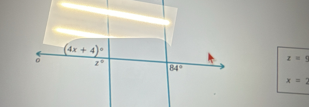 (4x+4)^circ 
z°
z=9
84°
x=2