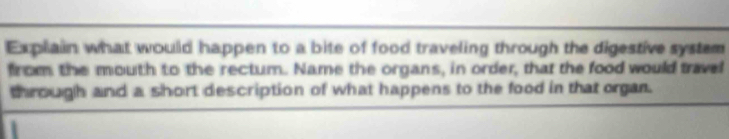 Explain what would happen to a bite of food traveling through the digestive system 
from the mouth to the rectum. Name the organs, in order, that the food would travel 
through and a short description of what happens to the food in that organ.