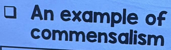 An example of 
commensalism