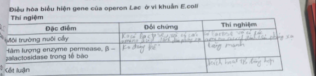 Điều hòa biểu hiện gene của operon Lac ở vi khuẩn E.coli