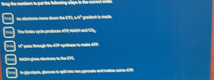 Drag the numbers to put the following steps in the correct ordel.
Drop As electrons move down the ETC; a H* gradient is made.
Drop The Krebs cycle produces ATR NADH and COp.
Drop H* pass through the ATP synthase to make ATR
Drop NADH gives electrons to the ETC.
Drop In glycolysis, glucose is split into two pyruvate and makes some ATR