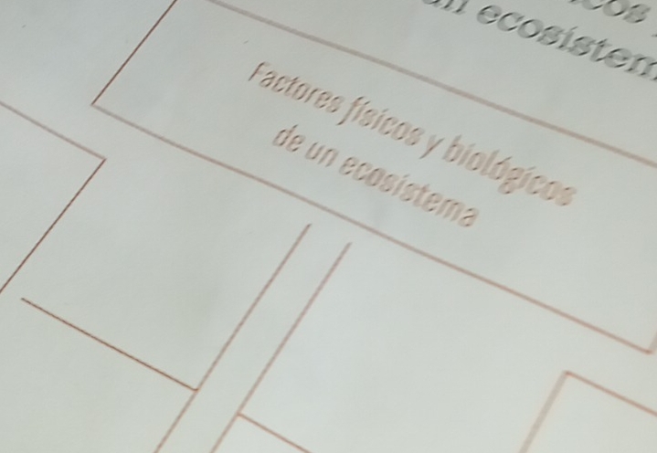 ecosisten 
Factores físicos y biológicos 
de un ecosístema