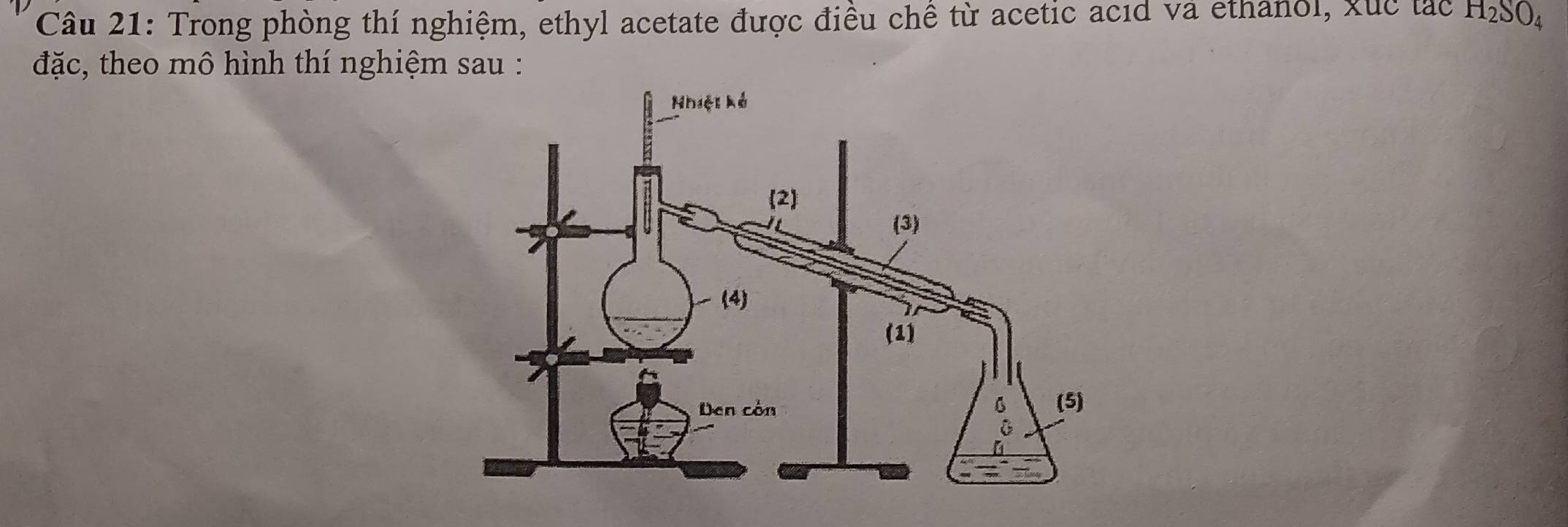 Trong phòng thí nghiệm, ethyl acetate được điều chế từ acetic acıd và ethanol, xuc tác H_2SO_4
đặc, theo mô hình thí nghiệm sau :