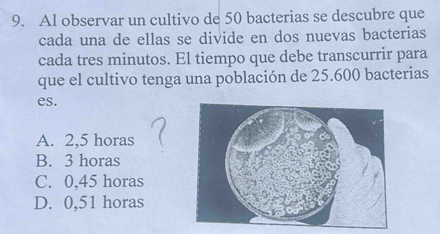 Al observar un cultivo de 50 bacterias se descubre que
cada una de ellas se divide en dos nuevas bacterias
cada tres minutos. El tiempo que debe transcurrir para
que el cultivo tenga una población de 25.600 bacterias
es.
A. 2,5 horas
B. 3 horas
C. 0,45 horas
D. 0,51 horas