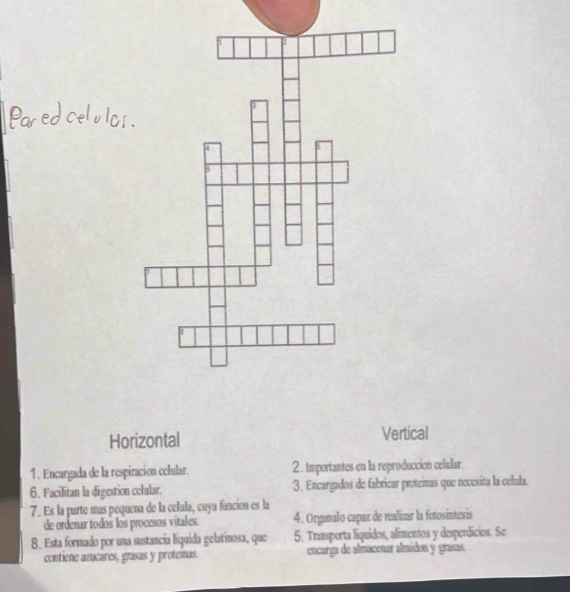 Horizontal Vertical
1. Encargada de la respiración celular. 2. Importantes en la reproducción celular.
6. Facilitan la digestion celular. 3. Encargados de fabricar proteínas que necesita la celula.
7. Es la parte más pequena de la celula, cuya función es la
de ordenar todos los procesos vitales. 4. Organulo capaz de realizar la fetosintesis
8. Esta formado por una sustancia liquida gelatinosa, que 5. Transporta liquidos, alimentos y desperdícios. Se
contiene azucares, grasas y protcinas. encarga de almaceñar almidon y grasas.