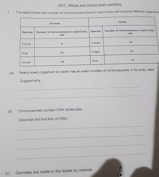 GRIT - Mitosis and meiosis exam questions 
1. The table shows the number of chromosomes found in each body cell of some different organism 
(a) Nearly every organism on earth has an even number of chromosomes in its body cells. 
Suggest why. 
_ 
_ 
(b) Chromosomes contain DNA molecules. 
Describe the function of DNA. 
_ 
_ 
_ 
_ 
(c) Gametes are made in the testes by meiosis. A