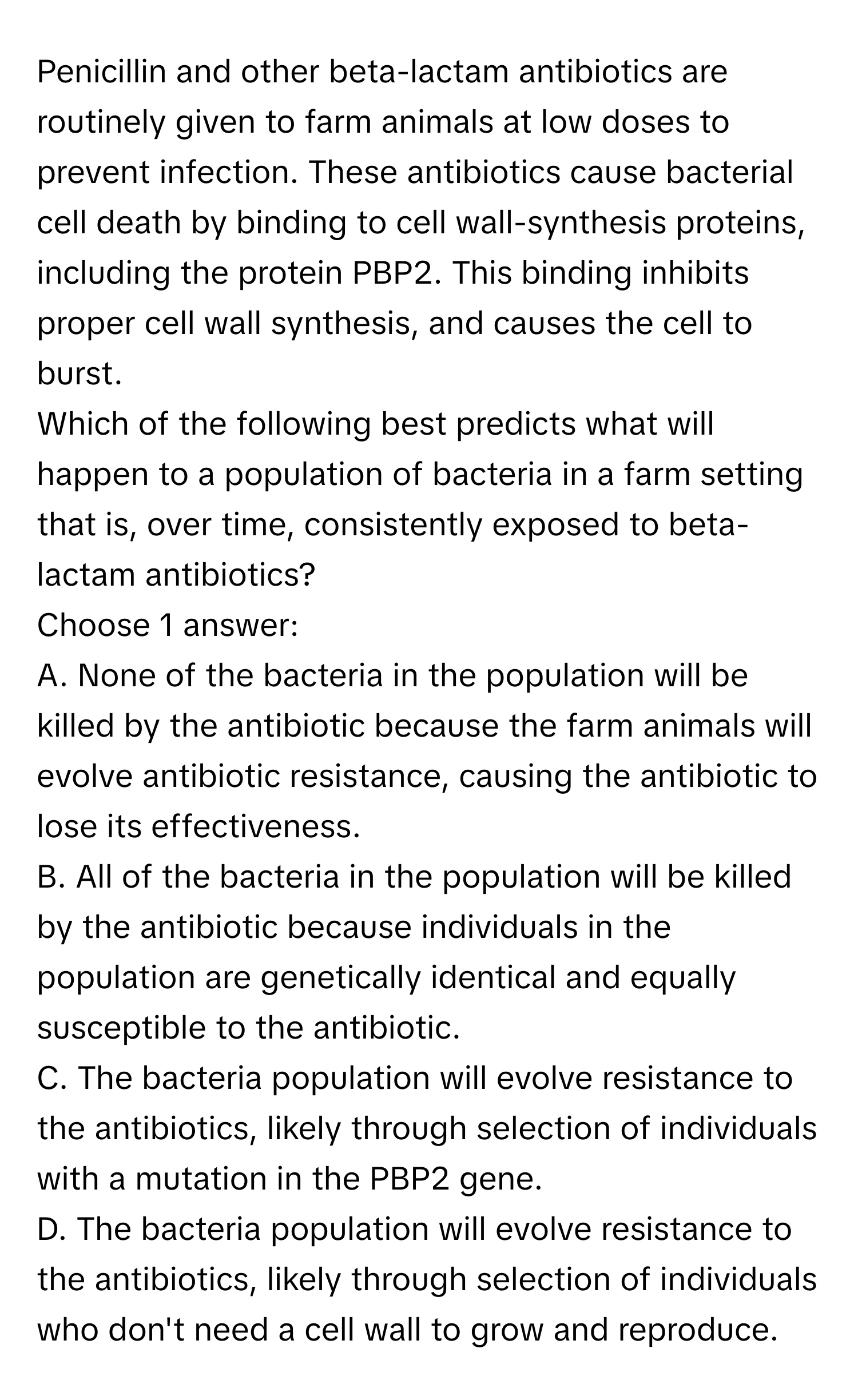 Penicillin and other beta-lactam antibiotics are routinely given to farm animals at low doses to prevent infection. These antibiotics cause bacterial cell death by binding to cell wall-synthesis proteins, including the protein PBP2. This binding inhibits proper cell wall synthesis, and causes the cell to burst.

Which of the following best predicts what will happen to a population of bacteria in a farm setting that is, over time, consistently exposed to beta-lactam antibiotics?
Choose 1 answer:
A. None of the bacteria in the population will be killed by the antibiotic because the farm animals will evolve antibiotic resistance, causing the antibiotic to lose its effectiveness.
B. All of the bacteria in the population will be killed by the antibiotic because individuals in the population are genetically identical and equally susceptible to the antibiotic.
C. The bacteria population will evolve resistance to the antibiotics, likely through selection of individuals with a mutation in the PBP2 gene.
D. The bacteria population will evolve resistance to the antibiotics, likely through selection of individuals who don't need a cell wall to grow and reproduce.