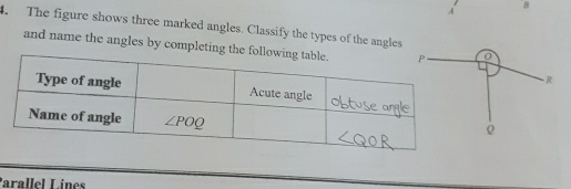 A B
. The figure shows three marked angles. Classify the types of the angles
and name the angles by completing t
Parallel Línes