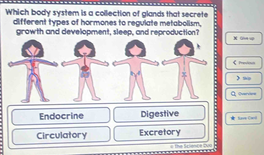 Which body system is a collection of glands that secrete
different types of hormones to regulate metabolism,
growth and development, sleep, and reproduction?
X Give up
Previous
Skip
Overviow
Endocrine Digestive
Save Card
Circulatory Excretory
The Science Dụo