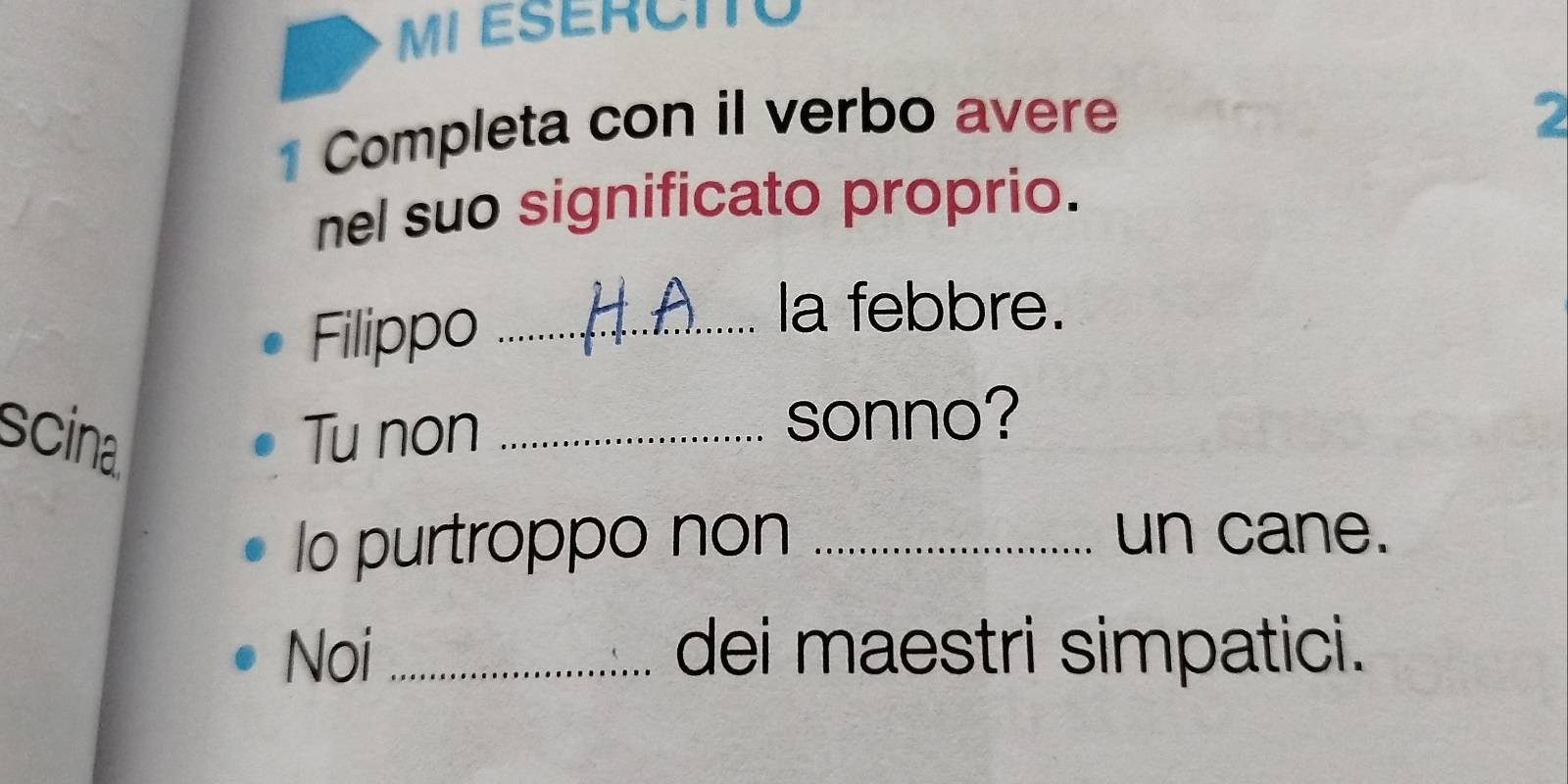 MI ESERCITO 
1 Completa con il verbo avere 
2 
nel suo significato proprio. 
Filippo_ 
la febbre. 
scina Tu non_ 
sonno? 
lo purtroppo non_ 
un cane. 
Noi _dei maestri simpatici.