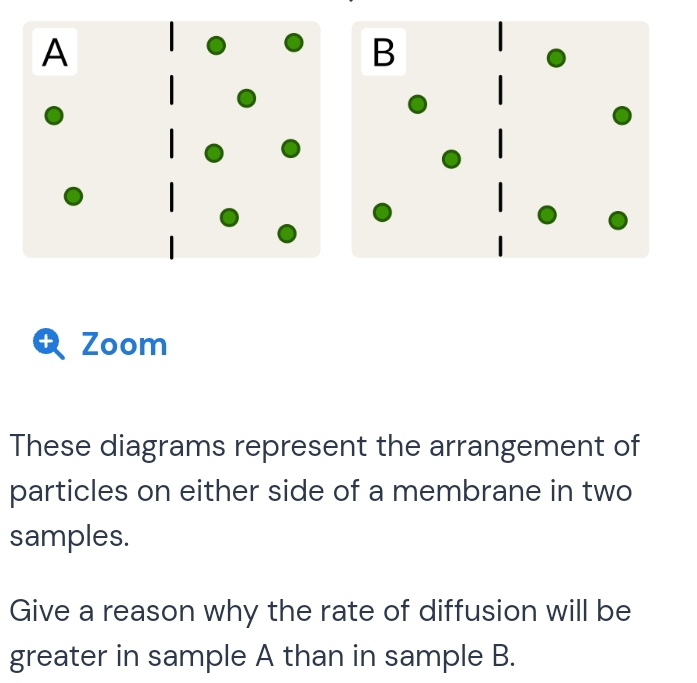 Zoom 
These diagrams represent the arrangement of 
particles on either side of a membrane in two 
samples. 
Give a reason why the rate of diffusion will be 
greater in sample A than in sample B.