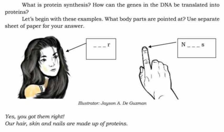 What is protein synthesis? How can the genes in the DNA be translated into 
proteins? 
Let's begin with these examples. What body parts are pointed at? Use separate 
sheet of paper for your answer. 
_r 
Illustrator: Jayson A. De 
Yes, you got them right! 
Our hair, skin and nails are made up of proteins.