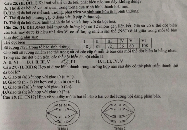 (H, DH11) Khi nói về thể dị đa bội, phát biêu nào sau đây không dùng?
A. Thể dị đa bội có vai trò quan trọng trong quá trình hình thành loài mới.
B. Thể dị đa bội có thể sinh trưởng, phát triển và sinh sản hữu tính bình thường.
C. Thể dị đa bội thường gặp ở động vật, ít gặp ở thực vật.
D. Thể dị đa bội được hình thành do lai xa kết hợp với đa bội hoá.
Câu 26. (H, DH13)Một loài thực vật lưỡng bội có 12 nhóm gen liên kết. Giả sử có 6 thể đột biển
của loài này được kí hiệu từ I đến VI có số lượng nhiễm sắc thể (NST) ở kì giữa trong mỗi tế bào
Cho biết số lượng nhiễm sắc thể trong tất cả các cặp ở mỗi tế bào của mỗi thể đột biển là bằng nhau.
Trong các thể đột biến trên, các thể đột biến đa bội chẵn là
A. II, VI B. I, II, III, V ②l, Ⅲ D. I, III, IV, V
Câu 27. (H, DH16) Hợp tử được hình thành trong trường hợp nào sau đây có thể phát triển thành thể
đa bội lẻ?
A. Giao tử (n) kết hợp với giao tử (n+1).
B. Giao tử (n-1) kết hợp với giao tử (n+1).
C. Giao tử (2n) kết hợp với giao tử (2n).
D. Giao tử (n) kết hợp với giao tử (2n).
Câu 28. (H, TN17) Hình vẽ sau đây mô tả hai tế bào ở hai cơ thể lưỡng bội đang phân bào.
 
Tể hào 1 Tế bão 2