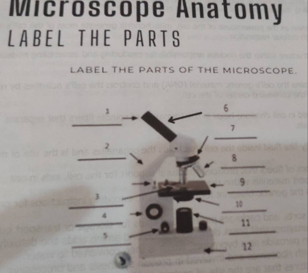 Solved: Microscope Anatomy LABEL THE PARTS LABEL THE PARTS OF THE ...