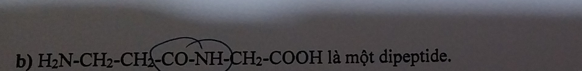 H_2N-CH_2-CH_2-CO-NH-CH_2-COOH là một dipeptide.