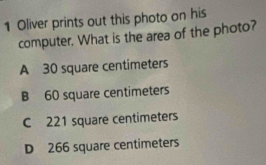 Oliver prints out this photo on his
computer. What is the area of the photo?
A 30 square centimeters
B 60 square centimeters
C 221 square centimeters
D 266 square centimeters