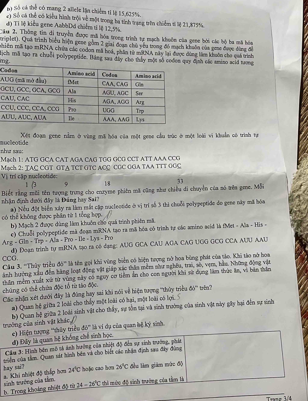 B) Số cá thể có mạng 2 allele lặn chiếm tỉ lệ 15,625%.
c) Số cá thể có kiểu hình trội về một trong ba tính trạng trên chiếm ti lệ 21,875%.
d) Ti lệ kiểu gene AabbDd chiếm tỉ lệ 12,5%.
Câu 2. Thông tin di truyền được mã hóa trong trình tự mạch khuôn của gene bởi các bộ ba mã hóa
triplet). Quá trình biểu hiện gene gồm 2 giai đoạn chủ yếu trong đó mạch khuôn của gene được dùng đề
mhiên mã tạo mRNA chứa các codon mã hoá, phân tử mRNA này lại được dùng làm khuôn cho quá trình
dịch mã tạo ra chuỗi polypeptide. Bảng sau dây cho thấy một số codon quy định các amino acid tương
mg.
C
A
G
C
C
A
Xét đoạn gene nằm ở vùng mã hóa của một gene cấu trúc ở một loài vi khuẩn có trình tự
nucleotide
như sau:
Mạch 1: ATG GCA CAT AGA CAG TGG GCG CCT ATT AAA CCG
Mạch 2: TAC CGT GTA TCT GTC ACC CGC GGA TAA TTT GGC
Vị trí cặp nucleotide:
1 (3 9 18
33
Biết rằng mũi tên tượng trưng cho enzyme phiên mã cũng như chiều di chuyền của nó trên gene. Mỗi
nhận định dưới đây là Đúng hay Sai?
a) Nếu đột biến xảy ra làm mất cặp nucleotide ở vị trí số 3 thì chuỗi polypeptide do gene này mã hóa
có thể không được phân tử 1 tổng hợp.
b) Mạch 2 được dùng làm khuôn cho quá trình phiên mã.
c) Chuỗi polypeptide mà đoạn mRNA tạo ra mã hóa có trình tự các amino acid là fMet - Ala - His -
Arg - Gln - Trp - Ala - Pro - Ile - Lys - Pro
d) Đoạn trình tự mRNA tạo ra có dạng: AUG GCA CAU AGA CAG UGG GCG CCA AUU AAU
CCG.
Câu 3. “Thủy triều đỏ” là tên gọi khi vùng biển có hiện tượng nở hoa bùng phát của tảo. Khi tảo nở hoa
ành hưởng xấu đến hàng loạt động vật giáp xác thân mềm như nghêu, trai, sò, vẹm, hầu. Những động vật
thân mềm xuất xứ từ vùng này có nguy cơ tiềm ẩn cho con người khi sử dụng làm thức ăn, vì bản thân
chúng có thể chứa độc tố từ tảo độc.
Các nhận xét dưới đây là đúng hay sai khi nói về hiện tượng “thủy triều do'' trên?
a) Quan hệ giữa 2 loài cho thấy một loài có hại, một loài có lợi.
b) Quan hệ giữa 2 loài sinh vật cho thấy, sự tồn tại và sinh trưởng của sinh vật này gây hại đến sự sinh
trưởng của sinh vật khác
ụ của quan hệ ký sinh.
Trang 3/4