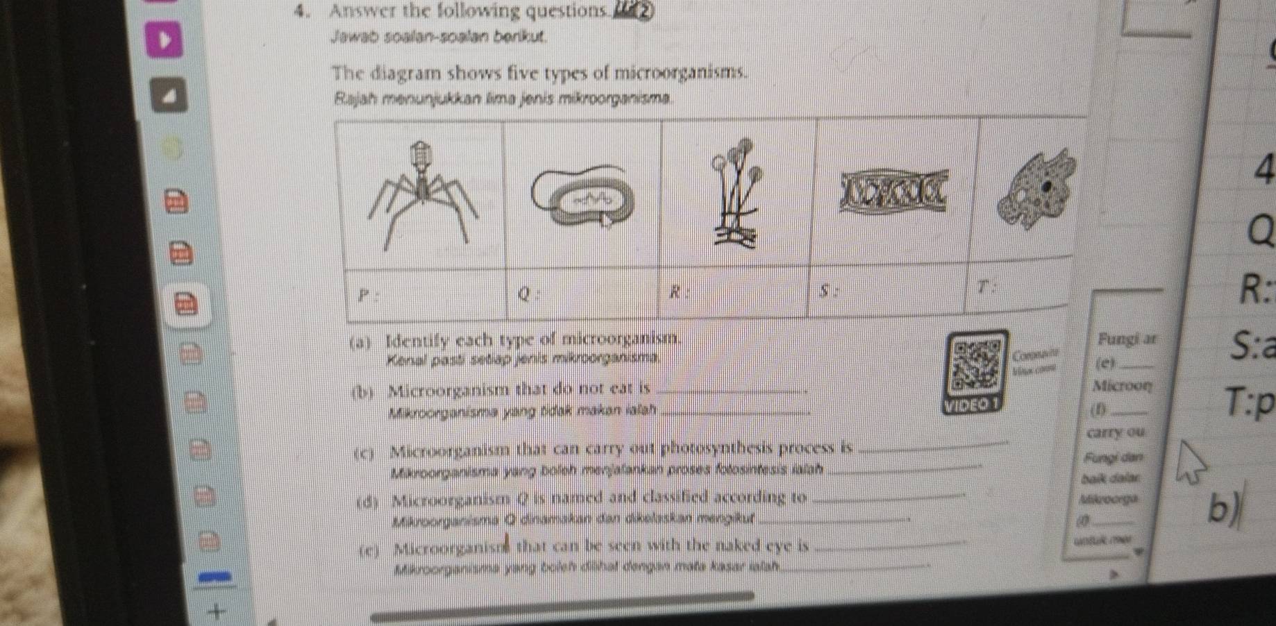 Answer the following questions o 12 
Jawab soalan-soalan berkut 
The diagram shows five types of microorganisms. 
Rajah menunjukkan lima jenis mikroorganisma. 
4 
Q 
R: 
(a) Identify each type of microorganism. Fungi ar S:a 
Coronave 
Kenal pasti setiap jenis mikroorganisma. (e)_ 
(b) Microorganism that do not eat is _Microon 
Mikroorganisma yang tidak makan ialah _VIDEO 
(1)_ 
T:p 
carry ou 
(c) Microorganism that can carry out photosynthesis process is_ 
Fungi dan 
Mikroorganisma yang boleh menjalankan proses folosintesis ialah 
_ 
baík dalar 
(d) Microorganism Q is named and classified according to _Mikrocega b) 
Mikroorganisma O dinamakan dan dikelaskan mengiku 
(e) Microorganiso that can be seen with the naked eye is _GAELN (OMM 
Mikroorganisma yang boleh dilhat dengan mata kasar ialah_