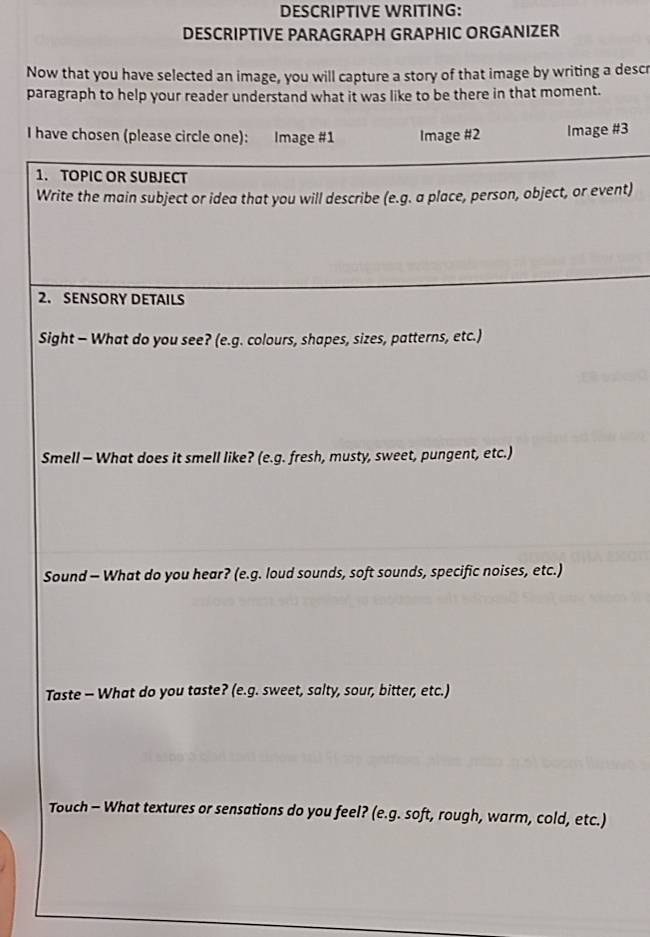 Solved: DESCRIPTIVE WRITING: DESCRIPTIVE PARAGRAPH GRAPHIC ORGANIZER ...