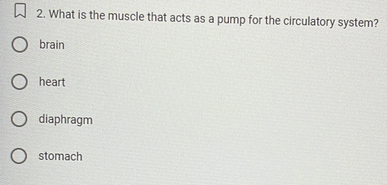 What is the muscle that acts as a pump for the circulatory system?
brain
heart
diaphragm
stomach