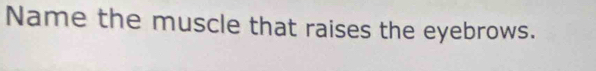 Name the muscle that raises the eyebrows.