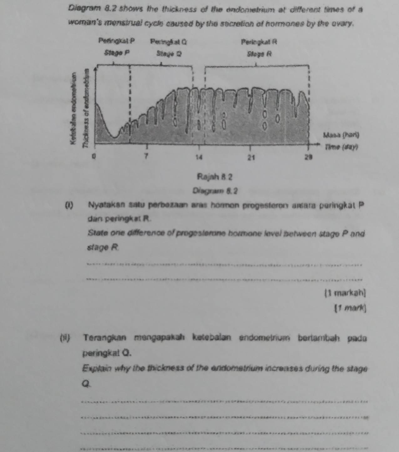 Diagram 8.2 shows the thickness of the endometrium at different times of a 
woman's menstrual cycle caused by the secration of hormones by the evary. 
(1) Nyatakan satu perbezaan aras hormon progesteron amara paringkal P
dan peringkat R. 
State one difference of progesterone bormone level between stage P and 
stage R. 
_ 
_ 
1 markah] 
[1 mark] 
(i) Terangkan mengapakah ketebalan endometrium bertambah pada 
peringkal Q. 
Explain why the thickness of the andometrium increases during the stage
Q. 
_ 
_ 
_ 
_