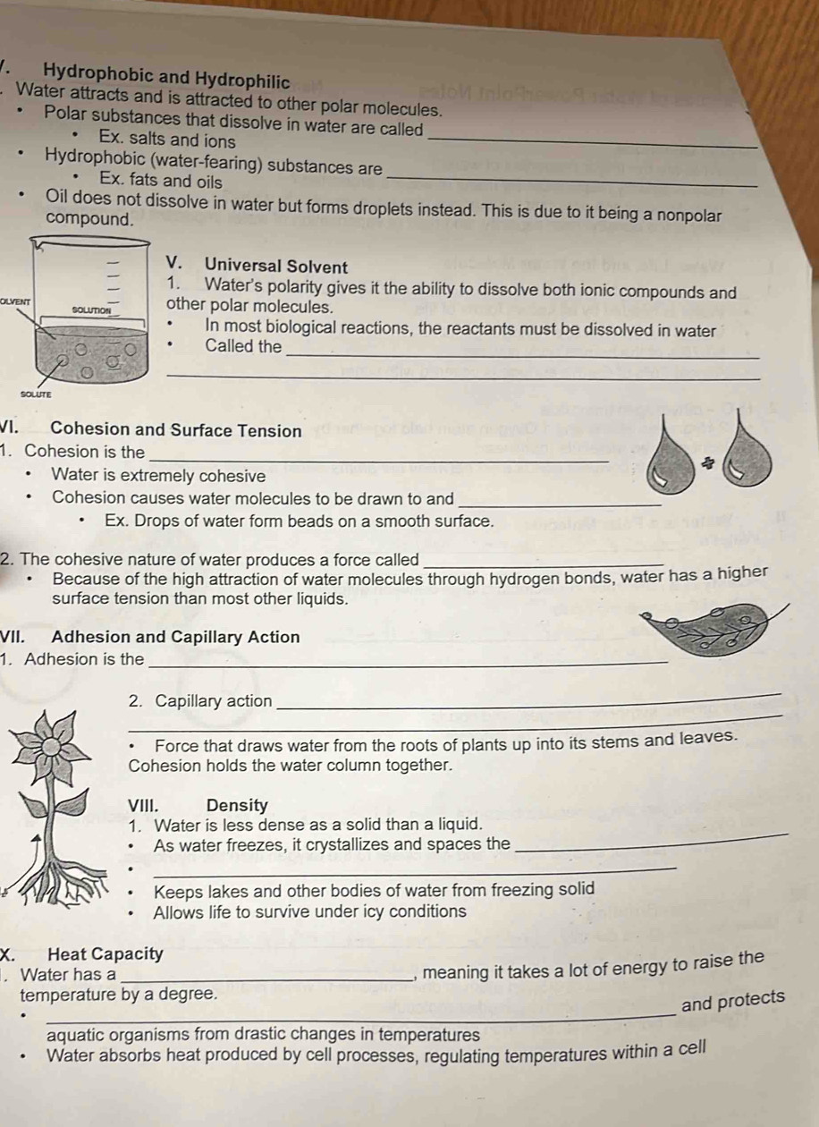 Hydrophobic and Hydrophilic 
Water attracts and is attracted to other polar molecules. 
Polar substances that dissolve in water are called 
Ex. salts and ions 
_ 
Hydrophobic (water-fearing) substances are 
Ex. fats and oils 
_ 
Oil does not dissolve in water but forms droplets instead. This is due to it being a nonpolar 
compound. 
. Universal Solvent 
. Water's polarity gives it the ability to dissolve both ionic compounds and 
OLVENTther polar molecules. 
In most biological reactions, the reactants must be dissolved in water 
_ 
Called the 
_ 
VI. Cohesion and Surface Tension 
_ 
1. Cohesion is the 

Water is extremely cohesive 
Cohesion causes water molecules to be drawn to and_ 
Ex. Drops of water form beads on a smooth surface. 
2. The cohesive nature of water produces a force called_ 
Because of the high attraction of water molecules through hydrogen bonds, water has a higher 
surface tension than most other liquids. 
VII. Adhesion and Capillary Action 
1. Adhesion is the_ 
_ 
_ 
2. Capillary action 
. Force that draws water from the roots of plants up into its stems and leaves. 
Cohesion holds the water column together. 
VIII. Density 
1. Water is less dense as a solid than a liquid. 
As water freezes, it crystallizes and spaces the 
_ 
_ 
Keeps lakes and other bodies of water from freezing solid 
Allows life to survive under icy conditions 
X. Heat Capacity 
. Water has a_ 
, meaning it takes a lot of energy to raise the 
_ 
temperature by a degree. 
and protects 
aquatic organisms from drastic changes in temperatures 
Water absorbs heat produced by cell processes, regulating temperatures within a cell