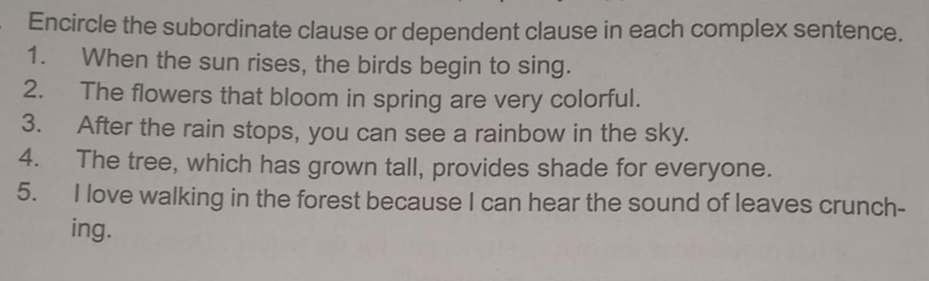 Encircle the subordinate clause or dependent clause in each complex sentence. 
1. When the sun rises, the birds begin to sing. 
2. The flowers that bloom in spring are very colorful. 
3. After the rain stops, you can see a rainbow in the sky. 
4. The tree, which has grown tall, provides shade for everyone. 
5. I love walking in the forest because I can hear the sound of leaves crunch- 
ing.