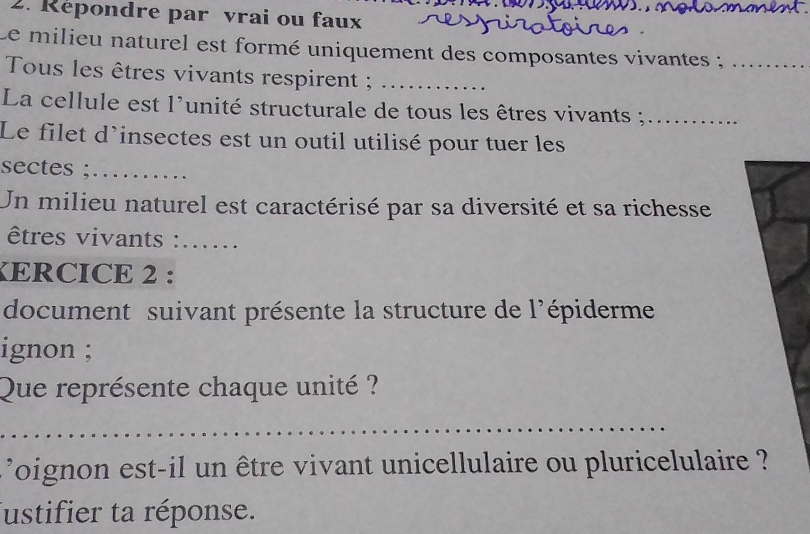 Repondre par vrai ou faux 
Le milieu naturel est formé uniquement des composantes vivantes ;_ 
Tous les êtres vivants respirent ;_ 
La cellule est l'unité structurale de tous les êtres vivants ;_ 
Le filet d'insectes est un outil utilisé pour tuer les 
sectes ;_ 
Un milieu naturel est caractérisé par sa diversité et sa richesse 
êtres vivants :...... 
KERCICE 2 : 
document suivant présente la structure de l'épiderme 
ignon ; 
Que représente chaque unité ? 
_ 
'oignon est-il un être vivant unicellulaire ou pluricelulaire ? 
ustifier ta réponse.