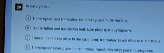 In eukaryotes...
A Transcription and transiation both take place in the nucieus.
8 Transcription and transiation both take place in the cytoplasm.
Transcription takes place in the cytoplasm; translation takes place in the nucieus.
D Transcription takes place in the nucieus; translation takes place in cytoplasm.