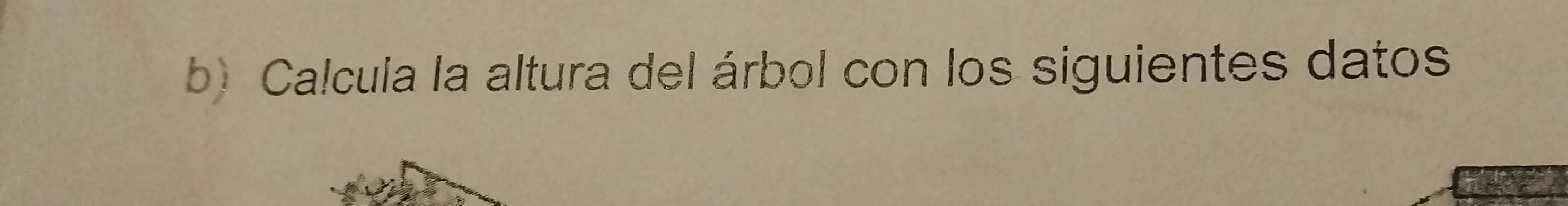 Calcula la altura del árbol con los siguientes datos