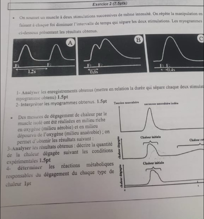 On soumet un muscle à deux stimulations successives de même intensité. On répète la manipulation en 
faisant à chaque foi diminuer l'intervalle de temps qui sépare les deux stimulations. Les myogrammes 
ci-dessous présentent les résultats obtenus. 
C 
l - Analyser les enregistrements obtenus (mettre en relation la durée qui sépare chaque deux stimulat 
myogramme obtenu) 1.5pt 
2- Interpréter les myogrammes obtenus. 1.5pt
Des mesures de dégagement de chaleur par le 
muscle isolé ont été réalisées en milieu riche 
en oxygène (milieu aérobie) et en milieu 
dépourvu de l'oxygène (milieu anaérobie) ; on 
permet d'obtenir les résultats suivant :Chaleur re 
3-Analyser les résultats obtenus : décrire la quantit 
de la chaleur dégagée suivant les condition 
expérimentales 1.5pt
4- déterminer les réactions métabolique 
responsables du dégagement du chaque type d 
chaleur 1pt