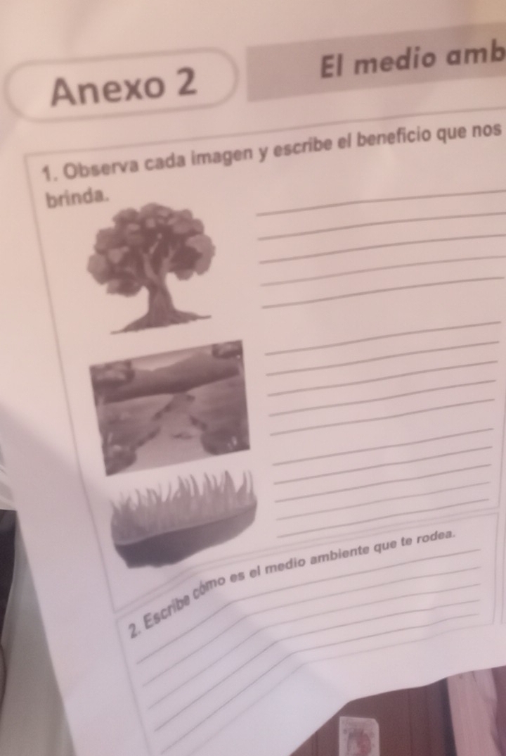 Anexo 2 El medio amb 
_ 
1. Observa cada imagen y escribe el beneficio que nos 
_ 
brinda. 
_ 
_ 
_ 
_ 
_ 
_ 
_ 
_ 
_ 
_ 
_ 
_ 
_ 
_ 
_ 
2. Escribe cómo es el medio ambiente que te rodea 
_