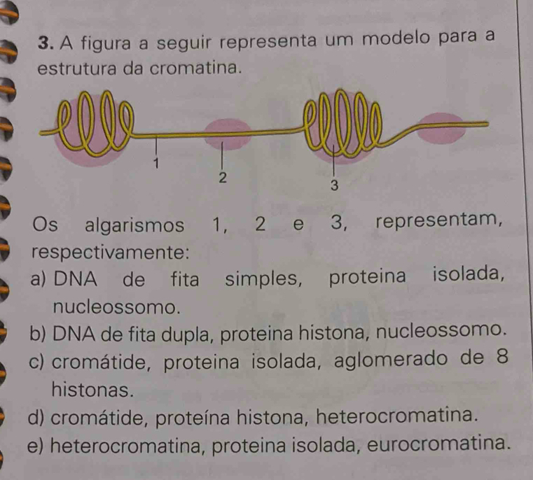 A figura a seguir representa um modelo para a
estrutura da cromatina.
Os algarismos 1, 2 e 3, representam,
respectivamente:
a) DNA de fita simples, proteina isolada,
nucleossomo.
b) DNA de fita dupla, proteina histona, nucleossomo.
c) cromátide, proteina isolada, aglomerado de 8
histonas.
d) cromátide, proteína histona, heterocromatina.
e) heterocromatina, proteina isolada, eurocromatina.