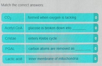 Match the correct answers: