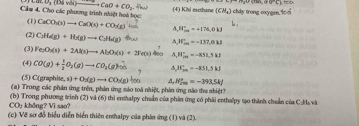 11_20 ,a0°C)
CaCO_3(Davoi)to CaO+CO_2 (4) Khí methane (CH_4)
Câu 4. Cho các phương trình nhiệt hoá học: cháy trong oxygen.
(1) CaCO_3(s)to CaO(s)+CO_2(g) △ _rH_(298)°=+176,0kJ
(2) C_2H_4(g)+H_2(g)to C_2H_6(g)
A. H_(298)°=-137, 0kJ
(3) Fe_2O_3(s)+2Al(s)to Al_2O_3(s)+2Fe(s) A. H_(298)°=-851,5kJ
(4) CO(g)+O₂(g)→CO₂(g)H∞ ^ H_(298)°=-851,5kJ
(5) C(graphite, s) +O_2(g)to CO_2(g) Ar H_(298)^o=-393,5kJ
(a) Trong các phản ứng trên, phản ứng nào toả nhiệt, phản ứng nào thu nhiệt?
(b) Trong phương trình (2) và (6) thì enthalpy chuẩn của phản ứng có phải enthalpy tạo thành chuẩn của C_2H_6
CO_2 không? Vì sao? và
(c) Vẽ sơ đồ biểu diễn biến thiên enthalpy của phản ứng (1) và (2).